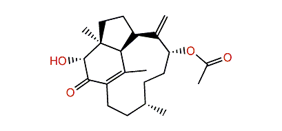 (3R,4S,7R,9R,12S,16S)-2-Oxo-3-hydroxytrinervita-1(15),8(19)-dien-9-yl acetate